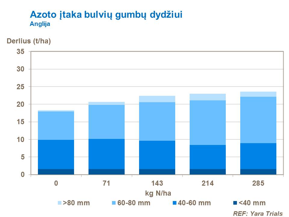 Azotas yra svarbus bulvių pasėliams, kadangi skatina augimą ir didina derlingumą. Daugiausiai jo reikia lapų formavimosi tarpsnyje, vėliau – gumbų augimui ir gausesniam derliui, nes azotas užtikrina optimalų fotosintezės procesą lapuose.