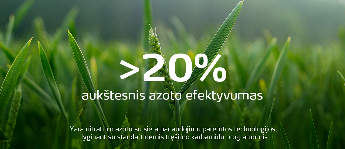 8% higher nitrogen-use efficiency