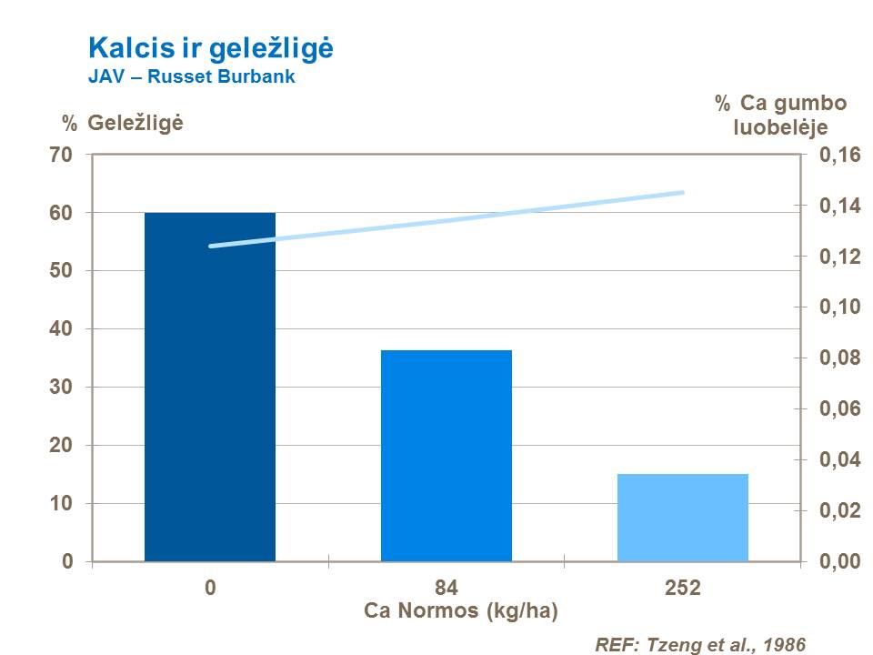 Iliustracijoje pateikti bandymo rezultatų duomenys rodo tiesioginį ryšį tarp kalcio tręšimo normos ir kalcio kiekio bulvės gumbo odelėje bei gumbo vidinio dėmėtumo atsiradimo rizikos.