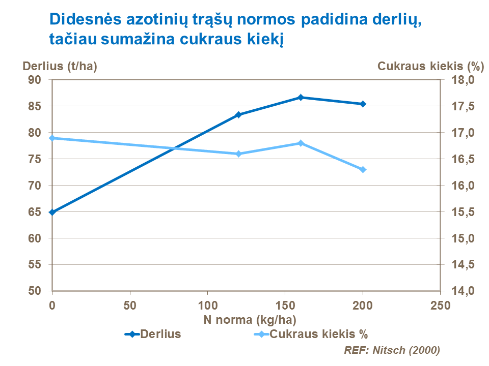 Vokietijoje atliktų tyrimų rezultatai rodo azotinių trąšų tręšimo normų santykį ir įtaką cukrinių runkelių derlingumui ir cukraus kiekiui šakniavaisiuose.