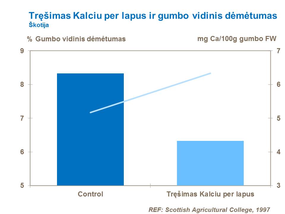 Tinkamai aprūpinus bulvių pasėlius kalciu – tręšiant kalcio salietra vagojant bulves arba per gumbų užmezgimo tarpsnį, galima sumažinti vidinių gumbo susirgimų riziką, pavyzdžiui, gumbo vidinio dėmėtumo (GVD) (GVD – IRS angl.) arba geležligės riziką. Patirtis rodo, kad užtikrinus mažiausiai 0,15% kalcio gumbo žievelėje, pagerėja gumbo odelės kokybė, padidėja atsparumas ligoms ir sumažėja gumbo vidinio dėmėtumo pasireiškimo rizika (šaltinis: Russet Burbank veislė, JAV).