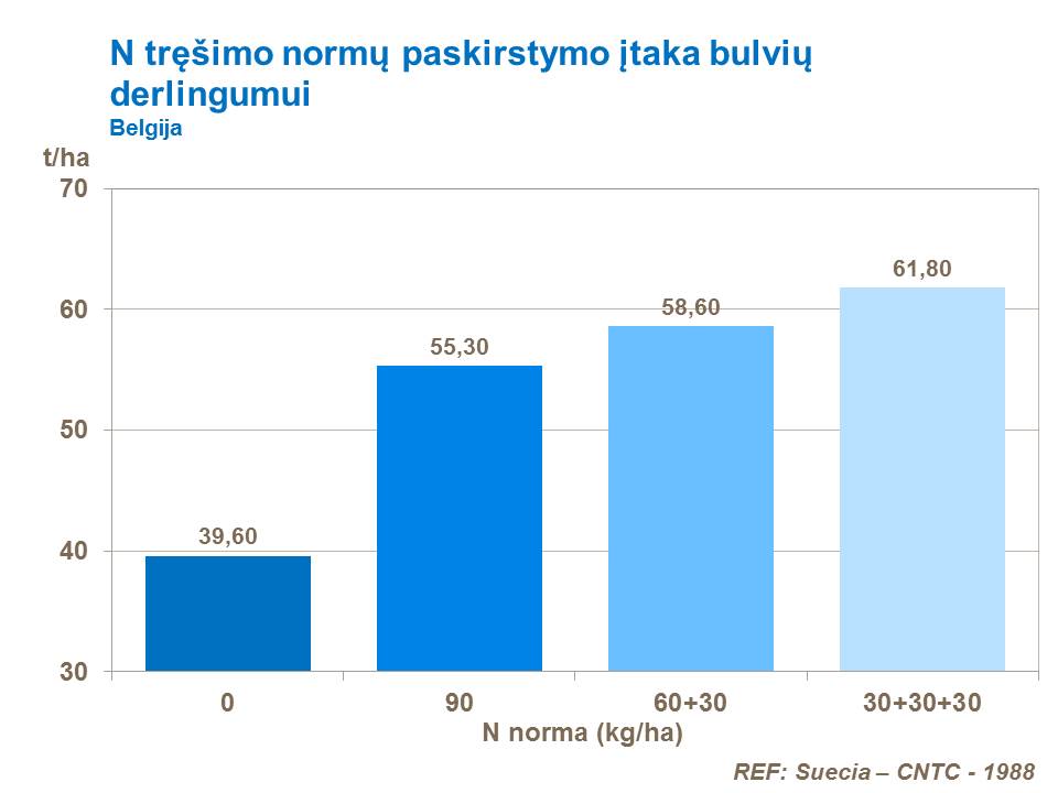Tais atvejais, kai reikia gausiai tręšti azotu, naudinga paskirstyti tręšimo azotu (N) normas. Bandymai parodė, kad paskirsčius tręšimą į tris dalis, derlingumas padidėjo 12 %, lyginant, kai azotu buvo tręšiama vienu ypu.