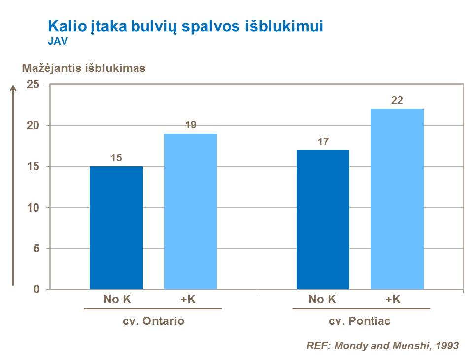 Bandymų, atliktų JAV, rezultatai rodo kalio įtaką fermentiniam gumbo spalvos išblukimui dviem skirtingoms bulvių veislėms.