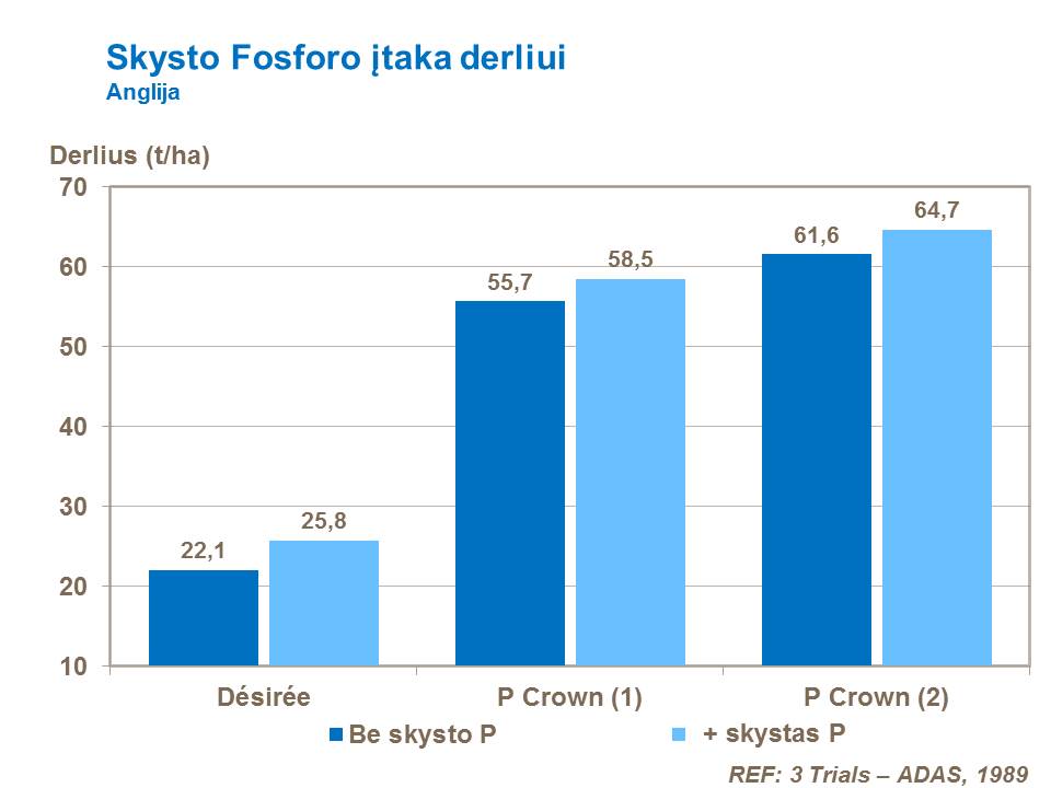 Be to, bandymų, atliktų Anglijoje, metu buvo nustatyta, kad bulvių pasėlių tręšimas fosforinėmis lapų trąšomis po gumbų susiformavimo, teigiamai įtakoja bulvių derlingumą, nes užauga didesni gumbai. Tačiau tręšimas fosforo trąšomis per lapus nepakeičia tiesioginio dirvožemio tręšimo. Neužtikrinus tinkamo fosforo trąšų kiekio dirvožemyje, negalima tikėtis optimalaus pasėlių augimo bei vystymosi ankstyvuosiuose vegetacijos tarpsniuose.