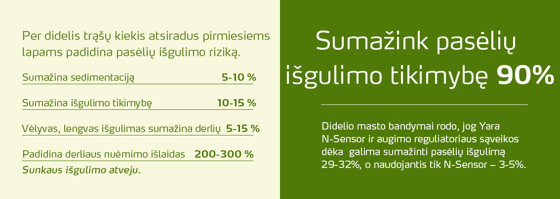 Reduce lodging by 90%